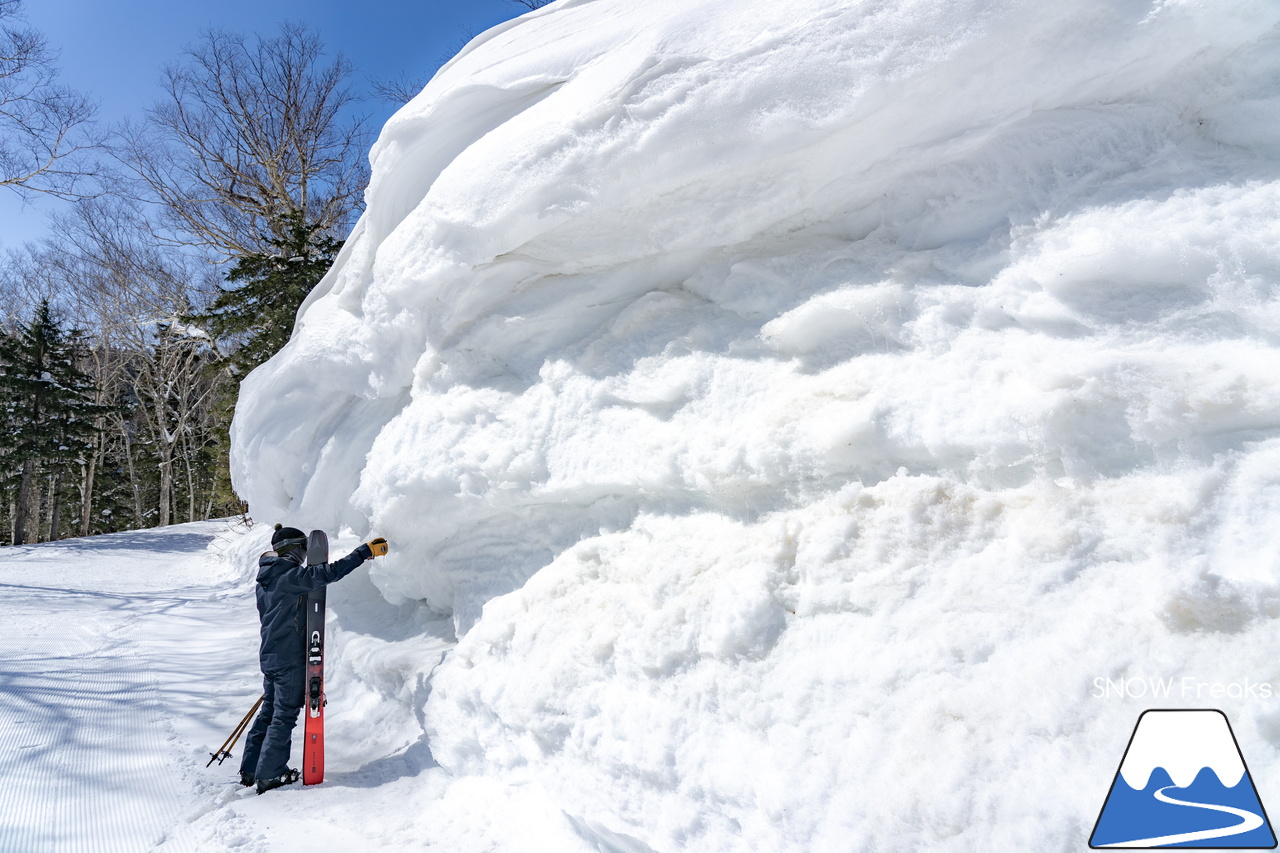 大雪山層雲峡・黒岳ロープウェイスキー場｜只今の積雪 360cm！『神々の遊ぶ庭』に降り積もる雪は、やはり別物でした(^^)v